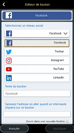 Ajoutez des boutons spéciaux pour inciter les lecteurs à visiter vos pages sur les réseaux sociaux